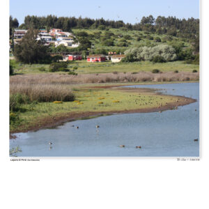 Pack 25 Láminas 1/8 Calendario 2027 Laguna El Peral